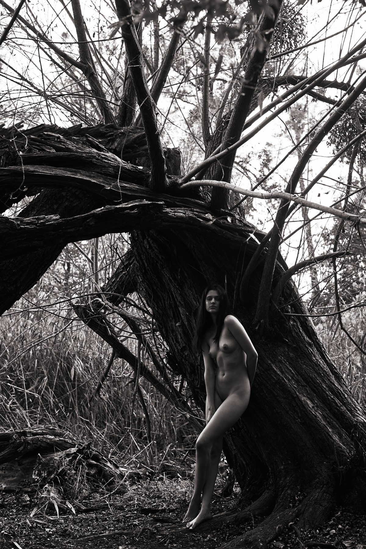 Nudes 27
